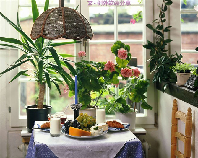 家里植物這樣擺，打造”另類“居室（一）